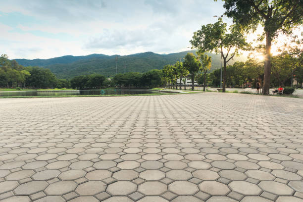 Best Custom Driveway Pavers  in Live Oak, TX