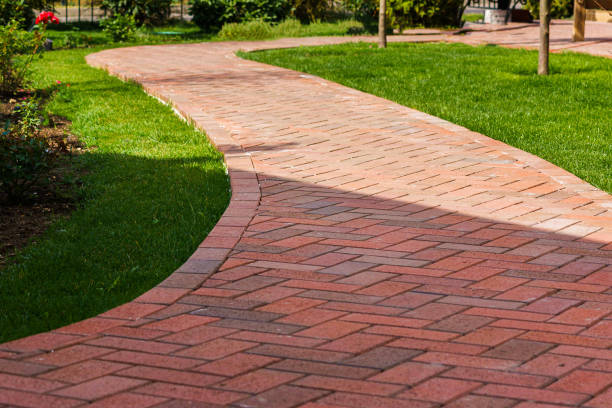 Best Local Driveway Pavers  in Live Oak, TX