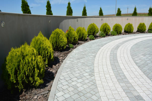 Best Driveway Pavers Cost  in Live Oak, TX