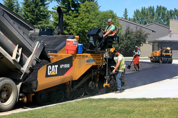 Best Driveway Pavers Near Me  in Live Oak, TX